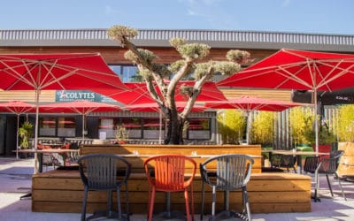 Hâte de vous recevoir sur notre nouvelle terrasse !